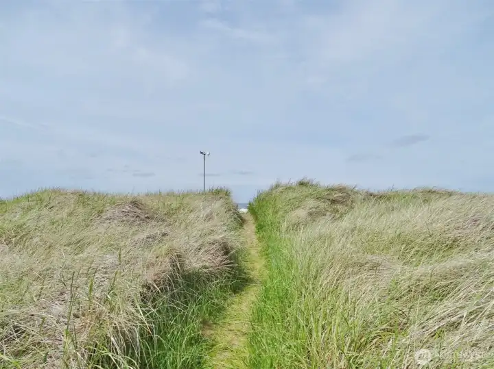 View of the path to the Beach (taken in 2022).