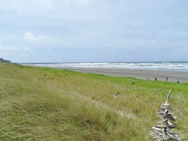 Southwest View of the Beach and Ocean ~ looking towards the Jetty (taken in 2022).