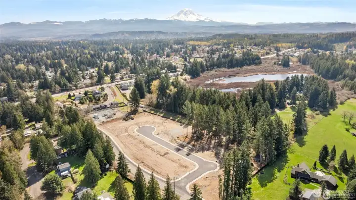 Aerial Photo of Community