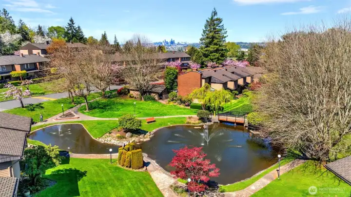 A view of the “park setting” within the condo area.