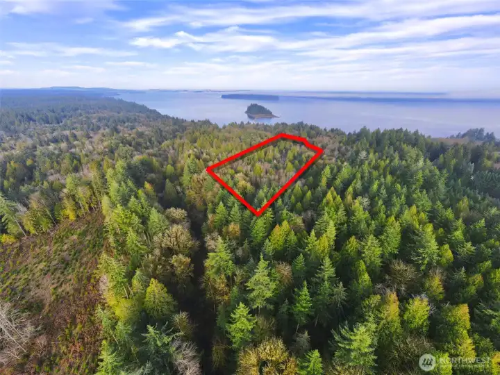 Overhead view with approximate boundaries in red. McMicken Island in the background.