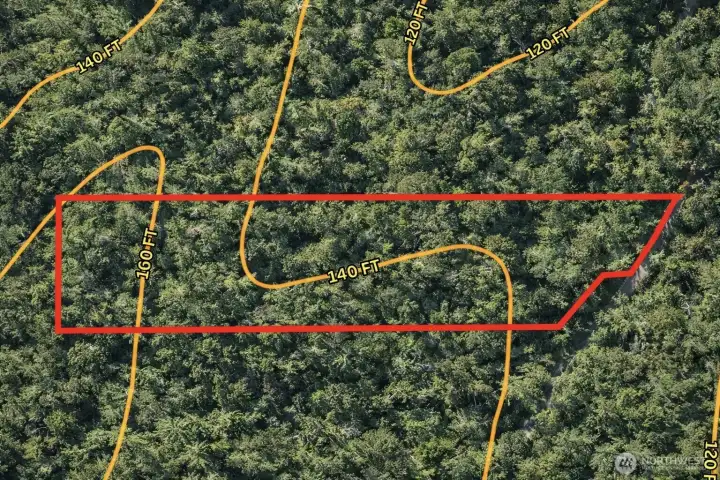 Overhead view with approximate boundaries in red and approximate topograpghy.