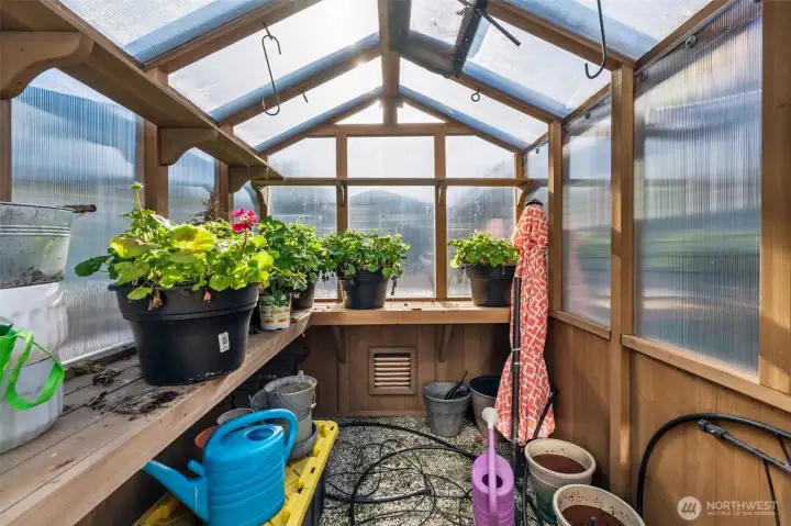 Check out the geraniums in the green house. They are now out on the deck and in bloom!!