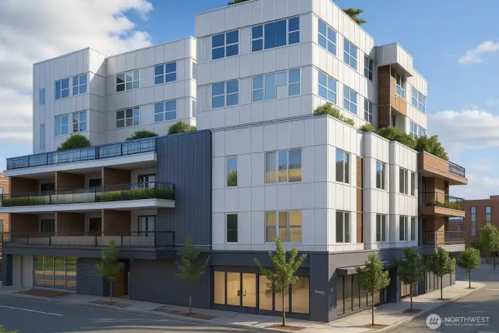 Option 1: 3D rendering 1