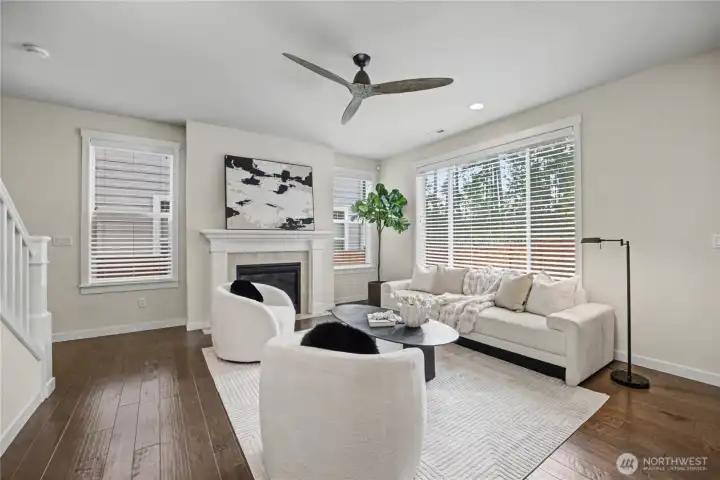 Living Room Full of Natural Light