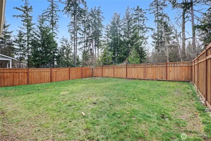 Greenbelt Backyard Views