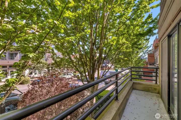 Unit balcony direction to Downtown Seattle Unit balcony direction to Downtown Seattle