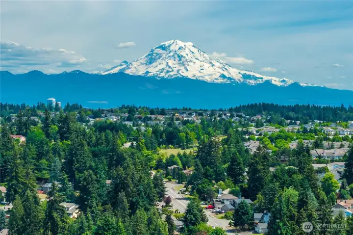 Mt Rainier always deserves a close up.
