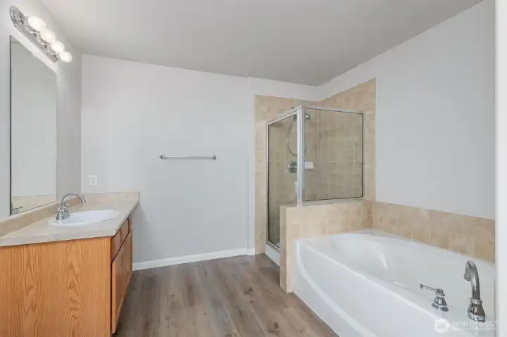Downstairs master bath