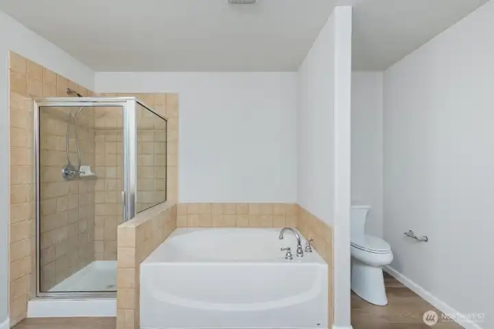 Upstairs Master bath