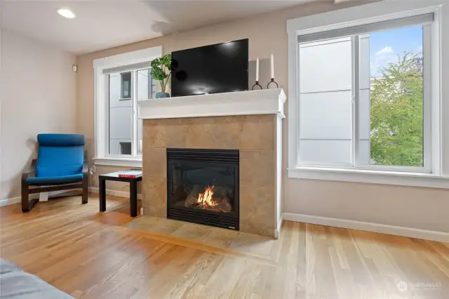 Gas fireplace