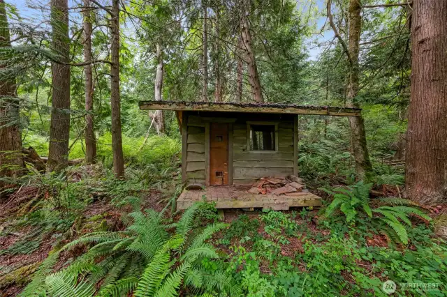 Trail in the back leads to an old cedar sauna