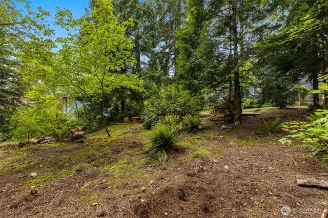 Back view of the backyard, which is RARE at nearly 1/3 acre!