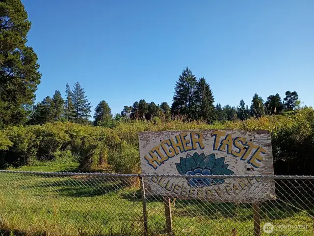 Higher Taste Blueberry Farm is a well established, 71 year old U-Pick community farm.
