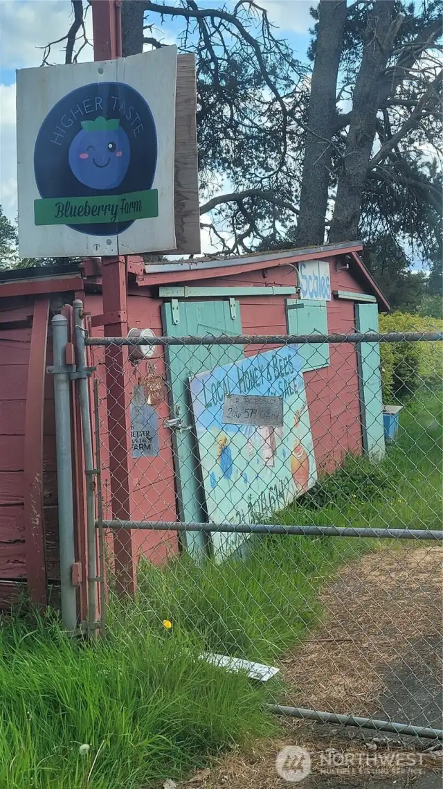 Farm has a local beekeeper that brings bees to pollinate in May (for bumper crops!) and then farm sells organic honey along with the blueberries during summer. Honey usually available year round!