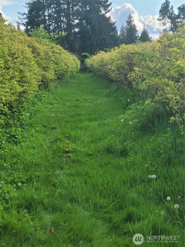 RV is at the end of the main path dividing farm, by lakefront.