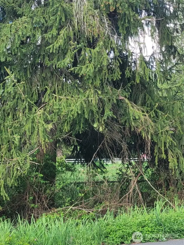 Beautiful properties surround the farm!  This is across the street.