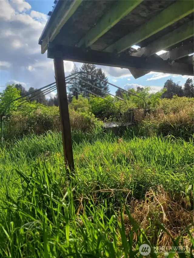 in the distance a frame of a previous shed that was covered with a canopy. Redo again?  Make a storage area or a greenhouse...or other vision?