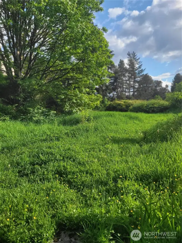 Pretty field area.