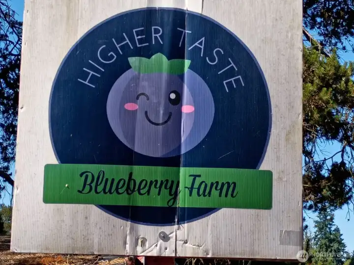 am alway hearing how this is everybody's favorite farm and that the berries taste the best anywhere, hence the name of the farm. We think it's because it's by the spring-fed lake!