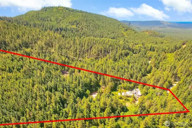 Aerial View - Property line estimate - not actual.
