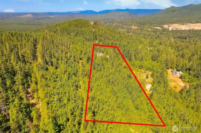 Aerial View - Property line estimate - not actual.