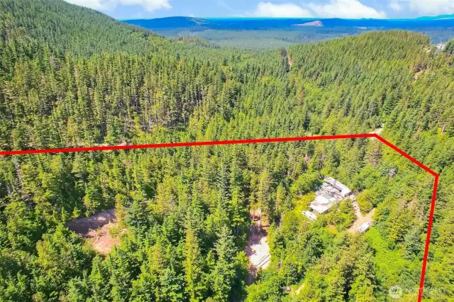 Aerial View - Property line estimate - not actual.