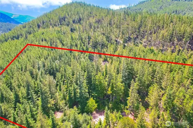Aerial View - Property line estimate - not actual.