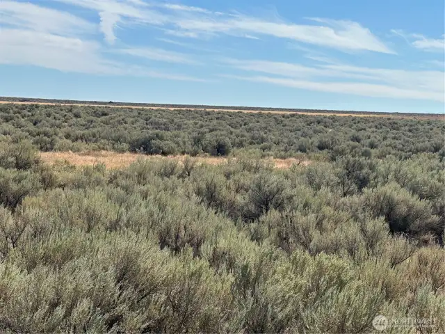 Just over an acre and a half for your vision!