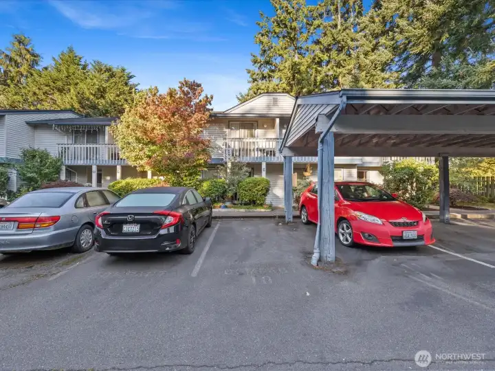 The first uncovered parking spot, #10, is yours