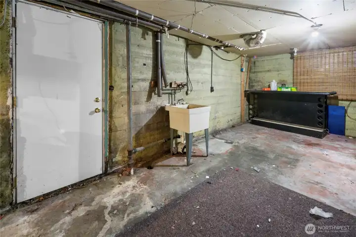 Laundry area in the basement and door to the backyard.