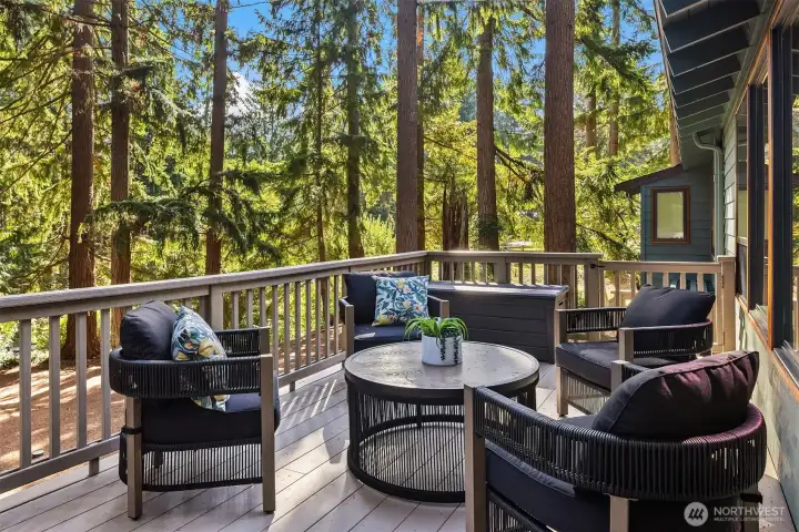 Entertainment sized deck off the living room with stairs down to the expansive yard below.