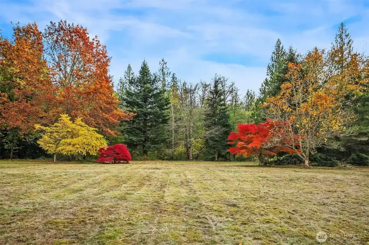 T-day football, soccer, baseball, badminton, all of the above at the same time!
