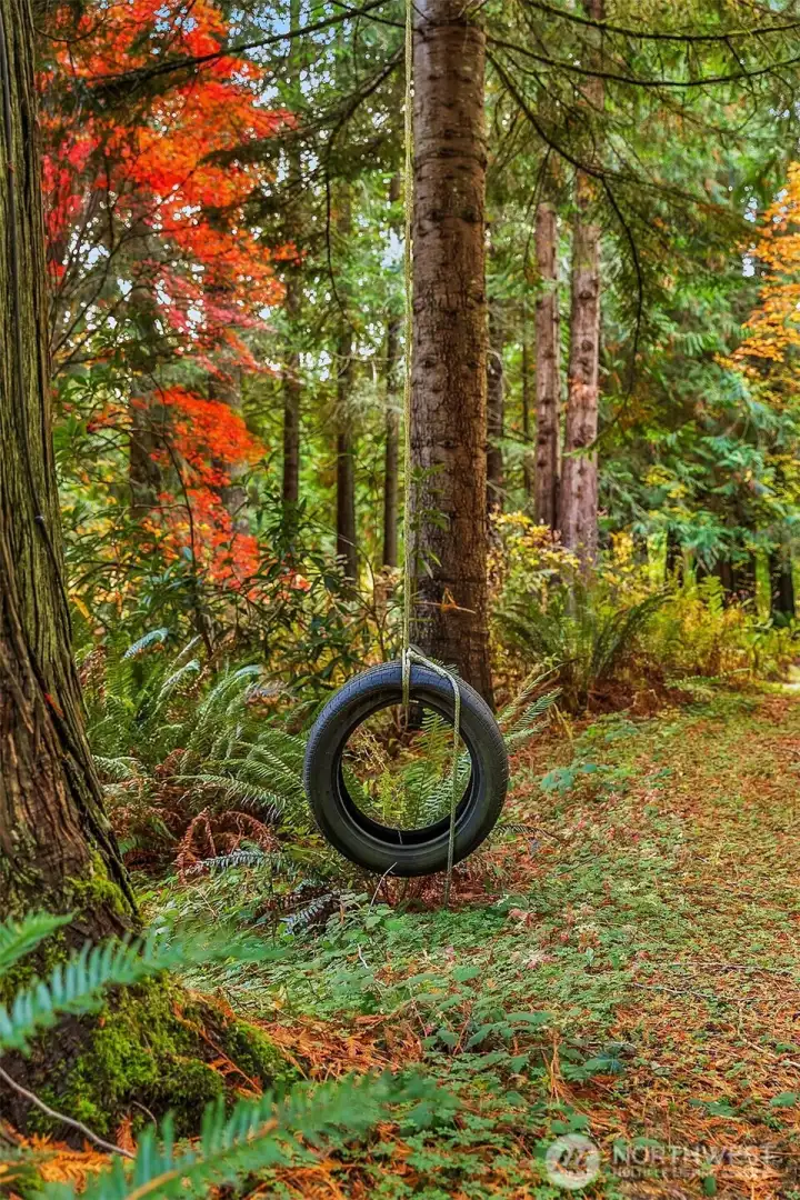 Dreams come true here.