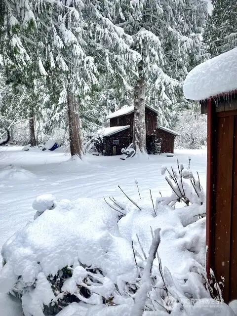 A winter wonderland.