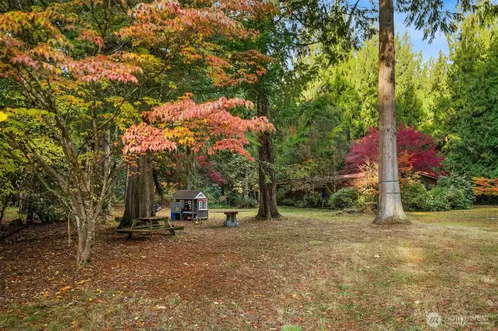 This is a courtyard which would be the backyard for the house location.  Surrounded by cedars, dogwood and beautiful flowering bushes -- this is a magical spot for parties, weddings, picnics, star gazing and your imagination.