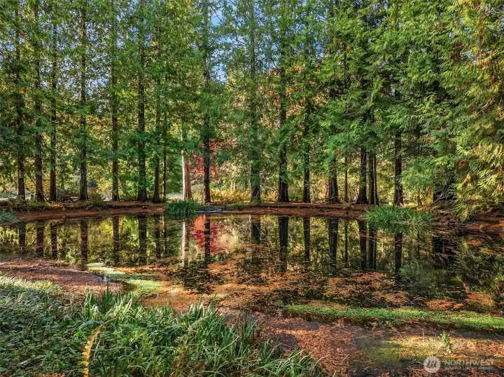 The pond has a path that rings the outside and crosses the stream with rock bridges