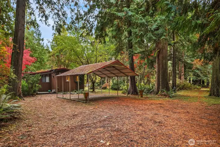 Carport entrance and to the right of the picture, a road has been put in that crosses the stream so it is possible to drive over this area to reach the far side of the property.