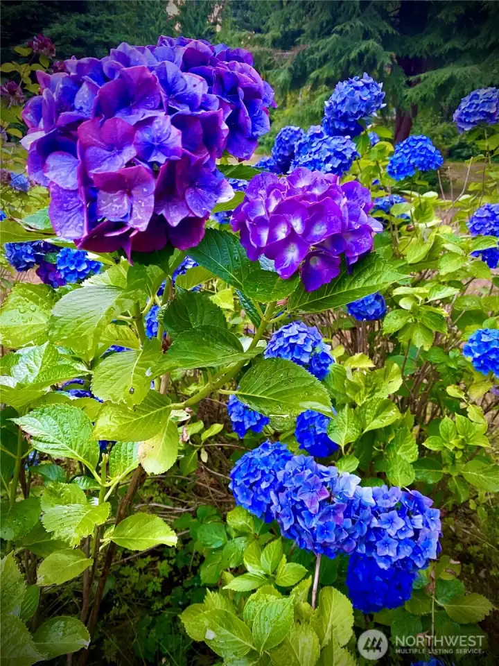 Every season has its color