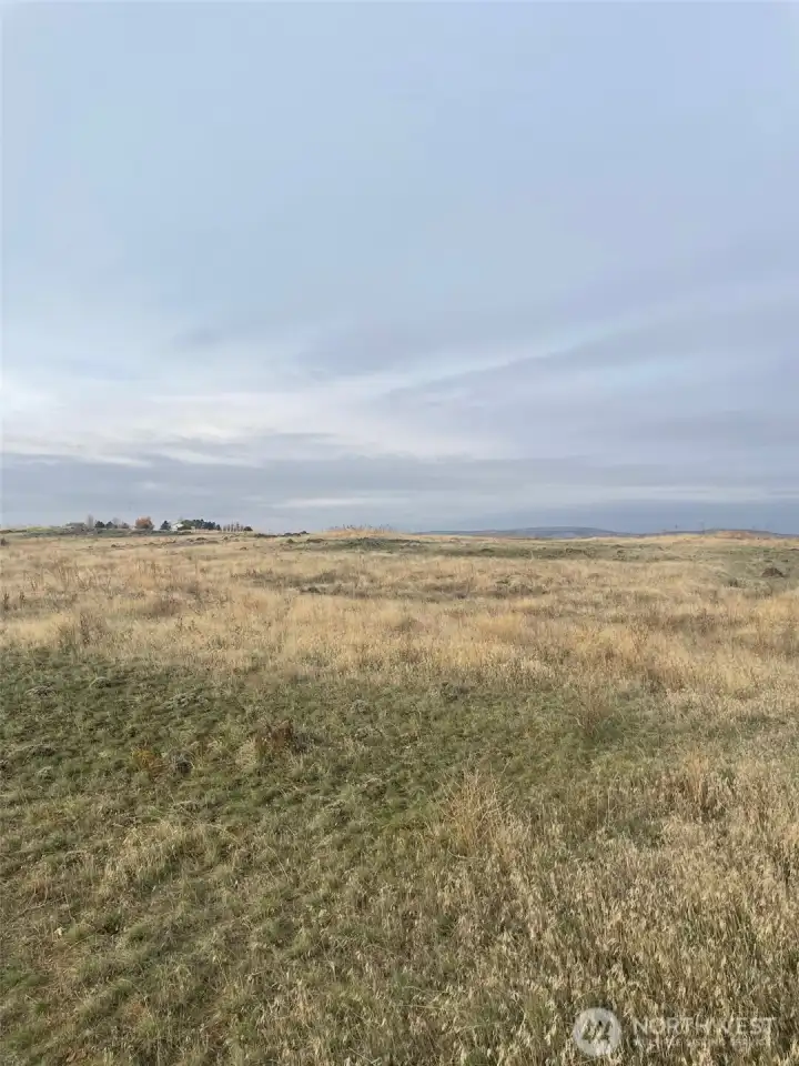 Ground photo looking from the southeast corner to the west.