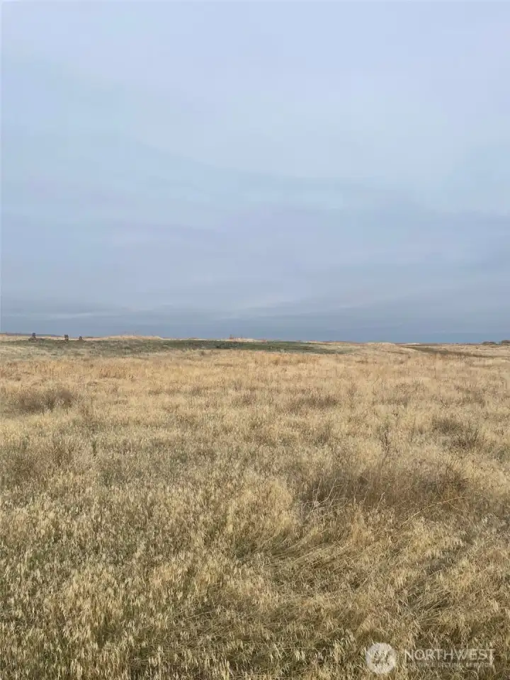 Photo is from the southeast corner, looking north.