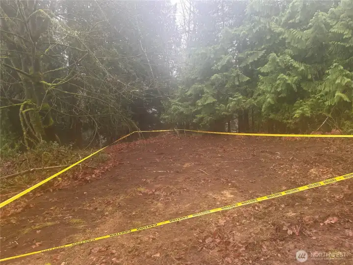 Drain field is tape off.