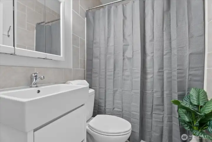 Lower level full bathroom