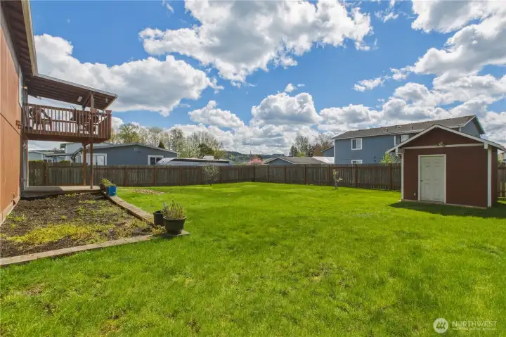 Large back yard with storage shed