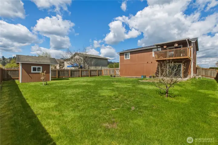 View from back of house