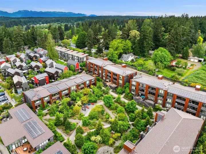 Here, a nice aerial shot of The Grove, with A104’s deck seen in the distance. No, the congenial gathering of neighbors here was not staged. Grow is truly a place to connect and build community!