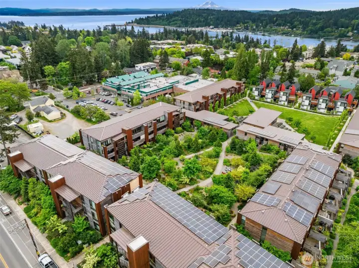 Looking south from The Grove toward The Park, where you’ll find Grow’s fabulous community center and pea-patch gardens, a wonderful benefit of living in Grow Community.