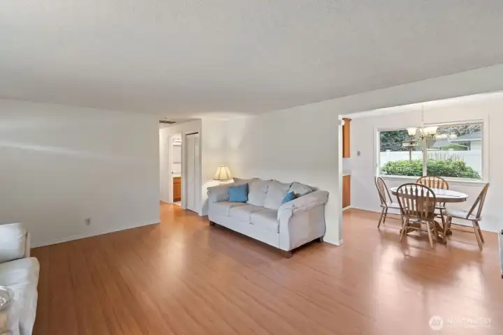 View from the front door through the living area to the dining area window.