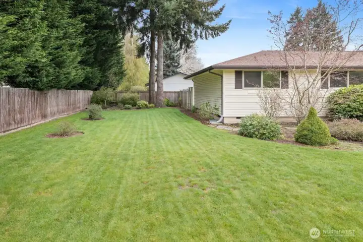 Isn't it lovely to have a yard big enough to entertain with friends and neighbors.