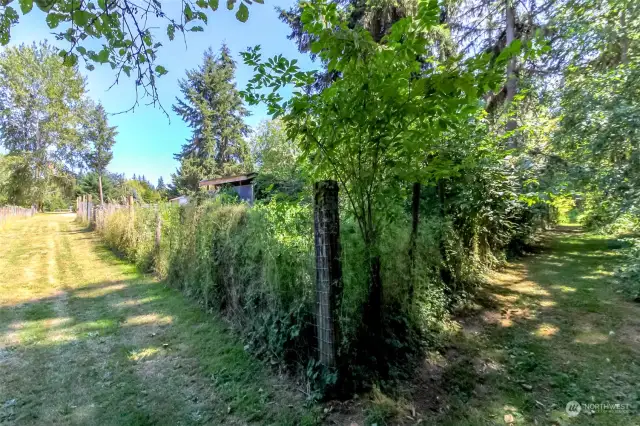 This is the start of the Community Bridle Trail of Highland Downs. The lot has one of the bridle trail easements and this picture whos the trail starting to the far West side of the lot.